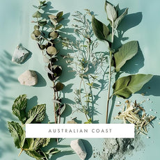 ScentAir Whisper Home Monthly Plug-in Refill, Fragrance Cartridge for Home and Office, Australian Coast