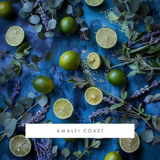 ScentAir Whisper Home Monthly Plug-in Refill, Fragrance Cartridge for Home and Office, Amalfi Coast