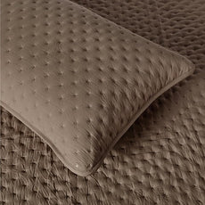 Amazon Basics Brushed Microfiber Quilt Set, Extra Soft with Natural Texture, 2-Piece,Twin/Twin XL, Brown