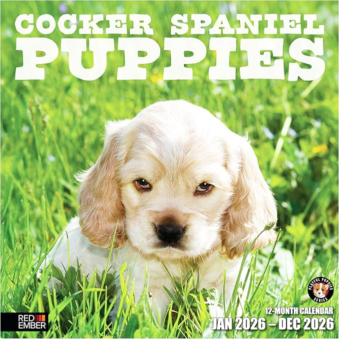 RED EMBER Cocker Spaniel Puppies 2026 Wall Calendar 12 Month | 12" x 24" Open | Thick & Sturdy Paper | Holiday Gift | Cute Puppy Dog Calendar 2026