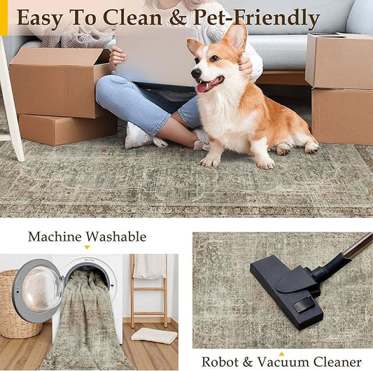 Sage Area Rug 5x7 for Living Room Washable Vintage Carpet Low Pile Non Slip Distressed Soft Traditional Retro Oriental Large Accent Throw Rug Office Kitchen Bedroom Dining Room