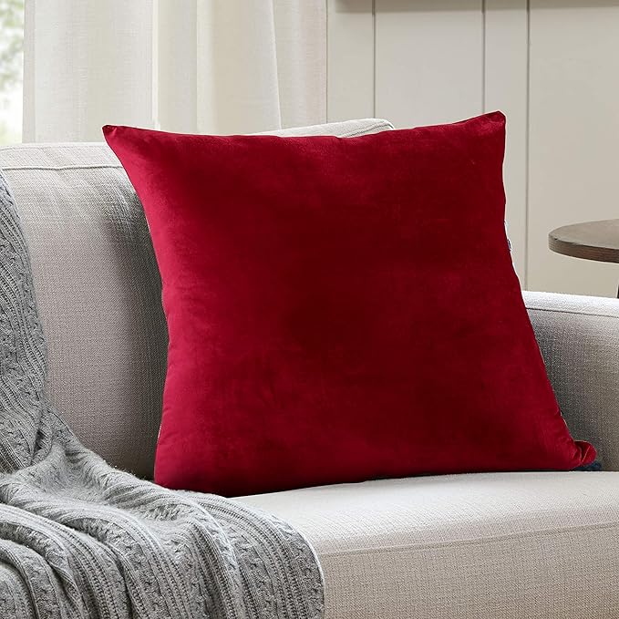 EVOLIVE Soft Micromink, Faux Fur, Faux Velvet Euro Sham Cover Pillowcase Replacement with Zipper Closure (26"x26" Euro Sham, Wine)