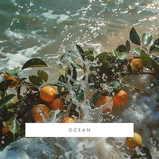 ScentAir Whisper Home Monthly Plug-in Refill, Fragrance Cartridge for Home and Office, Ocean