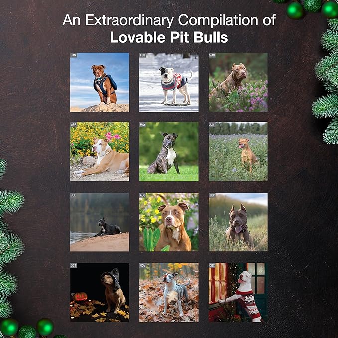 MICASA PRESS Pit Bulls 2026 Wall Calendar 12 Month | 12" x 24" Open | Thick & Sturdy Paper | Holiday Gift | Cute Puppy Dog Calendar 2026