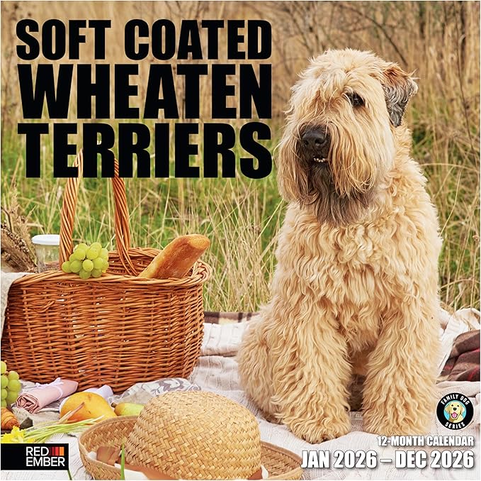 RED EMBER Soft Coated Wheaten Terriers 2026 Wall Calendar 12 Month | 12" x 24" Open | Thick & Sturdy Paper | Holiday Gift | Cute Puppy Dog Calendar 2026