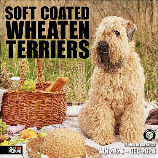 RED EMBER Soft Coated Wheaten Terriers 2026 Wall Calendar 12 Month | 12" x 24" Open | Thick & Sturdy Paper | Holiday Gift | Cute Puppy Dog Calendar 2026