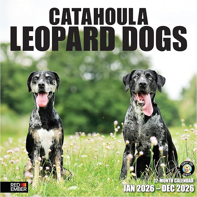 RED EMBER Catahoula Leopard Dogs 2026 Wall Calendar 12 Month | 12" x 24" Open | Thick & Sturdy Paper | Holiday Gift | Cute Puppy Dog Calendar 2026
