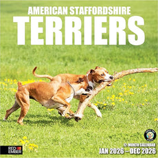 RED EMBER American Staffordshire Terriers 2026 Wall Calendar 12 Month | 12