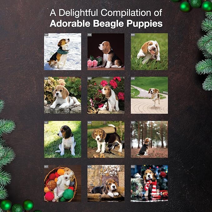 MICASA PRESS Beagle Puppies 2026 Wall Calendar 12 Month | 12" x 24" Open | Thick & Sturdy Paper | Holiday Gift | Cute Puppy Dog Calendar 2026