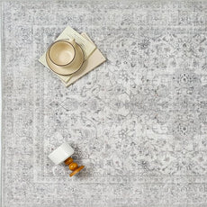 Gray Area Rug 5x7 for Living Room Washable Vintage Carpet Low Pile Non Slip Distressed Soft Traditional Retro Oriental Grey Accent Throw Rug Office Kitchen Bedroom Bathroom Dining Room