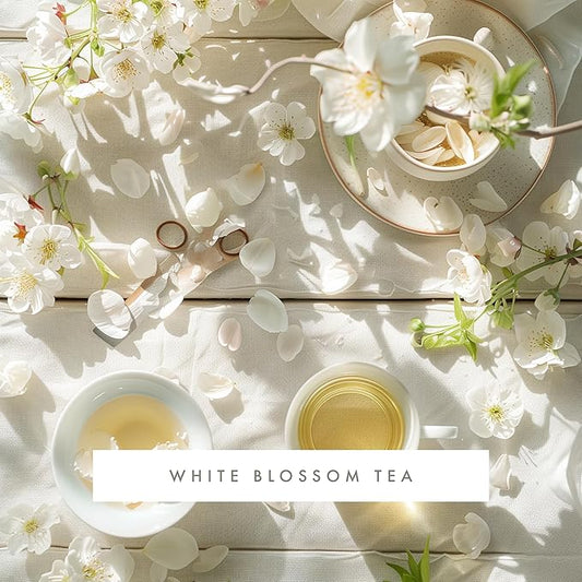 ScentAir Whisper Home Monthly Plug-in Refill, Fragrance Cartridge for Home and Office, White Blossom Tea