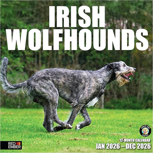 RED EMBER Irish Wolfhounds 2026 Wall Calendar 12 Month | 12" x 24" Open | Thick & Sturdy Paper | Holiday Gift | Cute Puppy Dog Calendar 2026