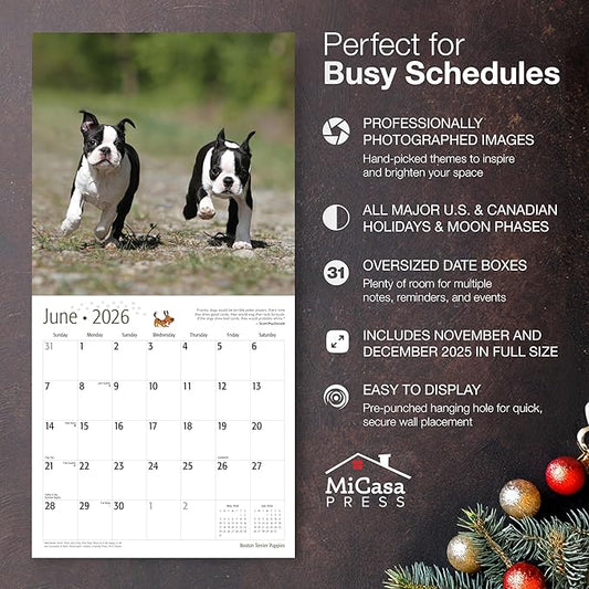 MICASA PRESS Boston Terrier Puppies 2026 Wall Calendar 12 Month | 12" x 24" Open | Thick & Sturdy Paper | Holiday Gift | Cute Puppy Dog Calendar 2026