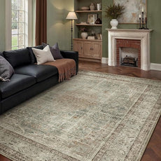 Sage Area Rug 6x9 for Living Room Washable Vintage Carpet Low Pile Non Slip Distressed Soft Traditional Retro Oriental Large Accent Throw Rug Office Bedroom Dining Room Playroom