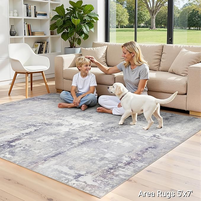 RCTJHOME 5'x7' Washable Area Rugs for loveseat Living Room/Twin Bedroom/Study Room, Modern Abstract Soft Carpet, Low Pile Floor Rug with Non Slip Backing for Dining Room, Light Grey White Watercolor