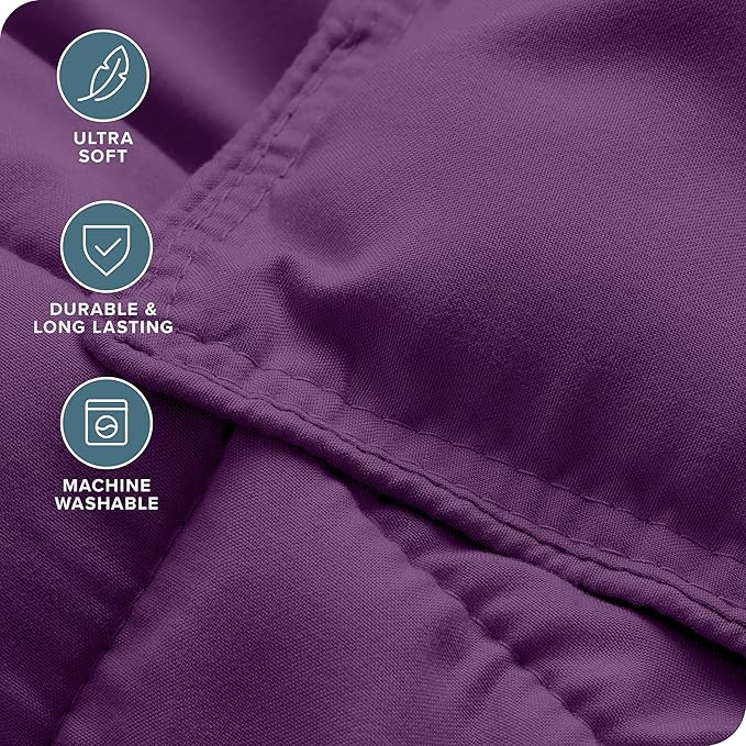 Bare Home Comforter Set - Queen Size - Ultra-Soft - Goose Down Alternative - Premium 1800 Series - All Season Warmth (Queen, Plum)