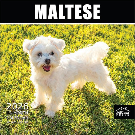 MICASA PRESS Maltese 2026 Wall Calendar 12 Month | 12" x 24" Open | Thick & Sturdy Paper | Holiday Gift | Cute Puppy Dog Calendar 2026