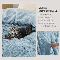 Bedsure GentleSoft Fluffy Light Blue Blankets Queen Size for Bed, Thick Sherpa Faux Fur Fleece Fuzzy Plush Winter Warm Soft Full Queen Blankets, Bedroom Decor Blue Cozy Gifts for Women Men, 90x90
