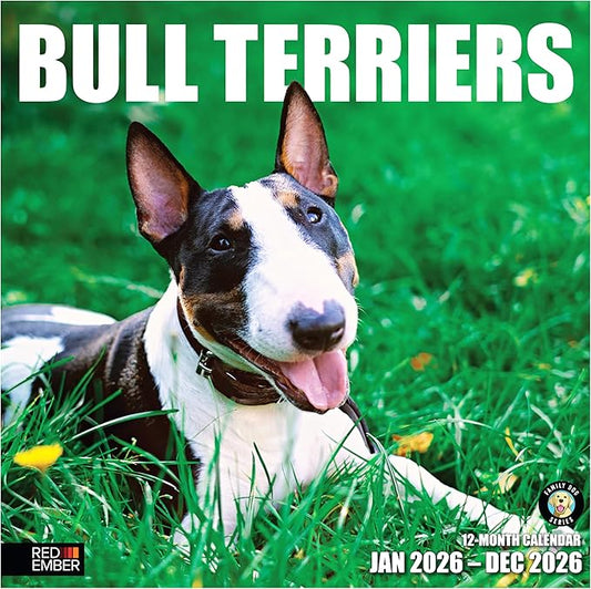 RED EMBER Bull Terriers 2026 Wall Calendar 12 Month | 12" x 24" Open | Thick & Sturdy Paper | Holiday Gift | Cute Puppy Dog Calendar 2026