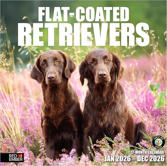 RED EMBER Flat-Coated Retrievers 2026 Wall Calendar 12 Month | 12" x 24" Open | Thick & Sturdy Paper | Holiday Gift | Cute Puppy Dog Calendar 2026