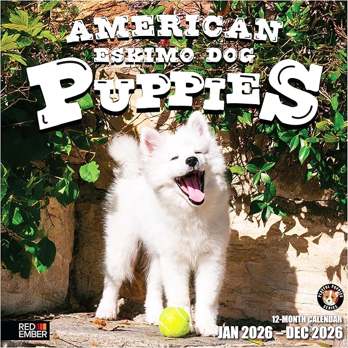RED EMBER American Eskimo Dog Puppies 2026 Wall Calendar 12 Month | 12" x 24" Open | Thick & Sturdy Paper | Holiday Gift | Cute Puppy Dog Calendar 2026