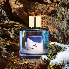 COCORRÍNA Reed Diffuser - Skiing in Aspen Reed Diffuser Set with 8 Sticks & Preserved Baby's Breath, Reed Diffuser for Home Bathroom Shelf Decor