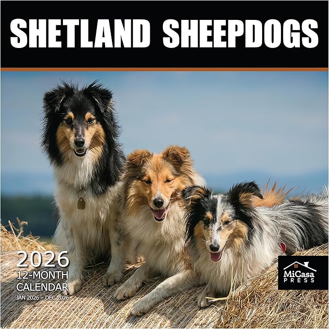 MICASA PRESS Shetland Sheepdogs 2024 Hangable Monthly Wall Calendar | 12" x 24" Open | Thick & Sturdy Paper | Holiday Gift | Cute Sheltie Puppy Dog Calendar 2026