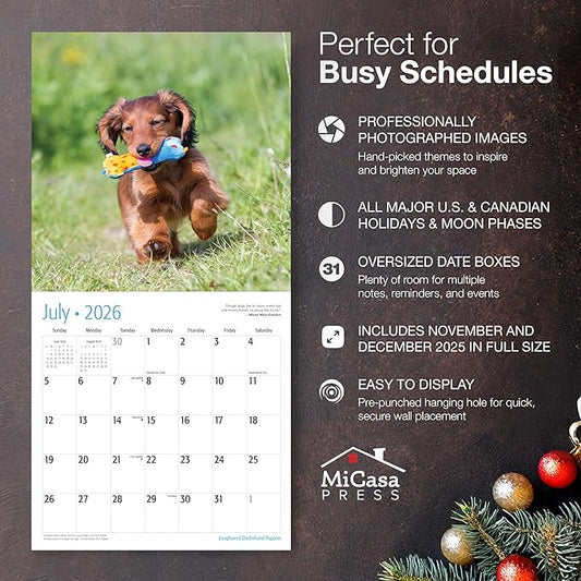 MICASA PRESS Longhaired Dachshund Puppies 2026 Wall Calendar 12 Month | 12" x 24" Open | Thick & Sturdy Paper | Holiday Gift | Cute Weiner Puppy Dog Calendar 2026