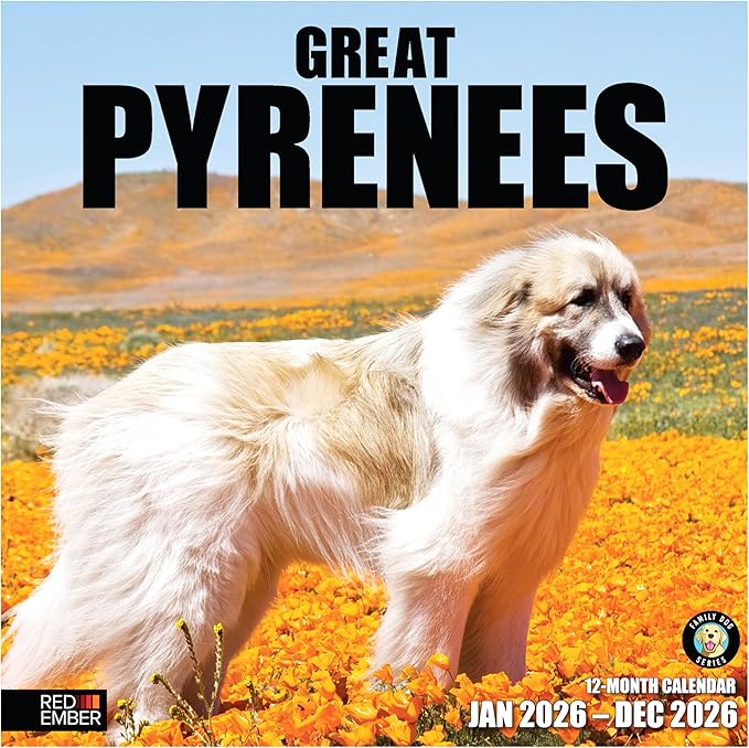 RED EMBER Great Pyrenees 2026 Wall Calendar 12 Month | 12" x 24" Open | Thick & Sturdy Paper | Holiday Gift | Cute Puppy Dog Calendar 2026