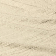 Amazon Basics Brushed Microfiber Comforter Set, Extra Soft with Natural Texture, 2-Piece, Twin/Twin XL, Beige