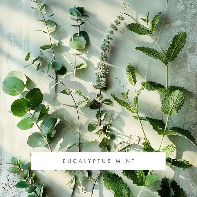 ScentAir Whisper Home Monthly Plug-in Refill, Fragrance Cartridge for Home and Office, Eucalyptus Mint