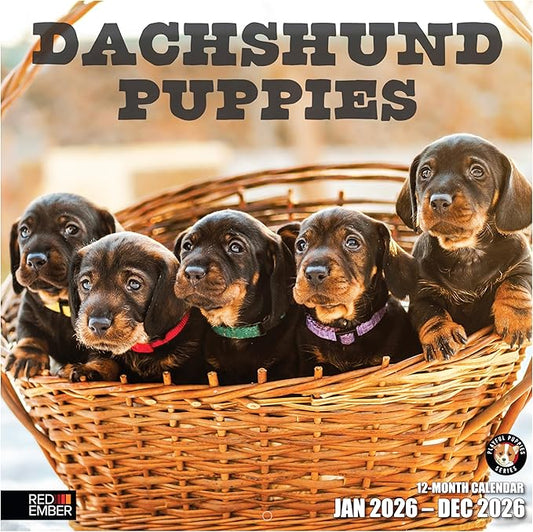 RED EMBER Dachshund Puppies 2026 Wall Calendar 12 Month | 12" x 24" Open | Thick & Sturdy Paper | Holiday Gift | Cute Weiner Puppy Dog Calendar 2026
