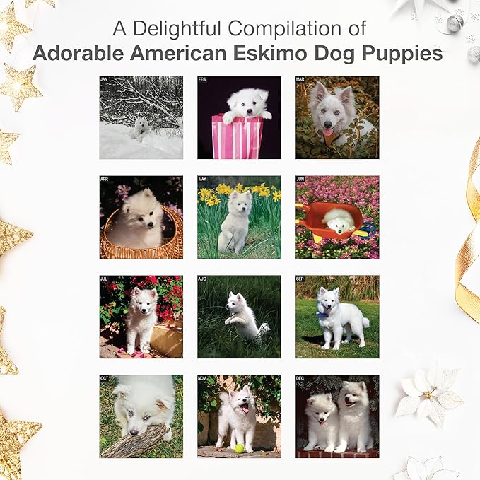RED EMBER American Eskimo Dog Puppies 2026 Wall Calendar 12 Month | 12" x 24" Open | Thick & Sturdy Paper | Holiday Gift | Cute Puppy Dog Calendar 2026