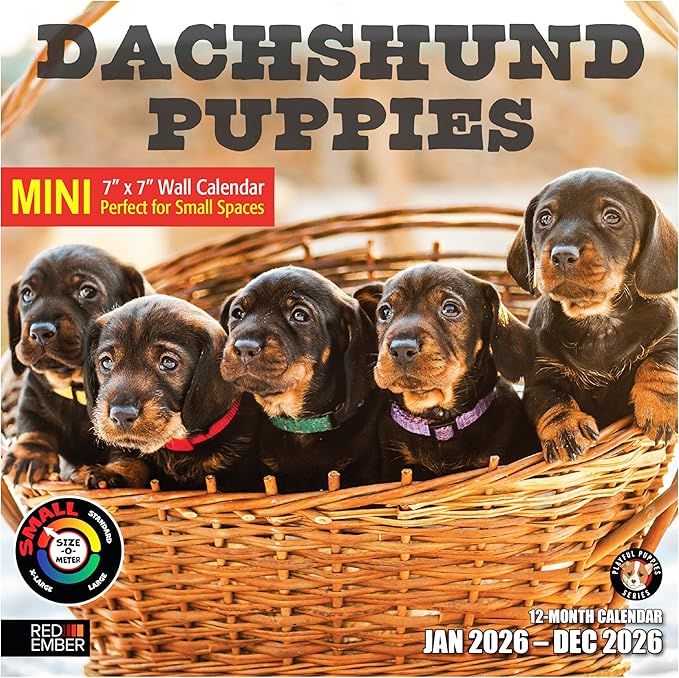 RED EMBER Dachshund Puppies 2026 Mini Wall Calendar 12 Month | 7" x 14" Open | Thick & Sturdy Paper | Holiday Gift | Cute Weiner Puppy Dog Calendar 2026