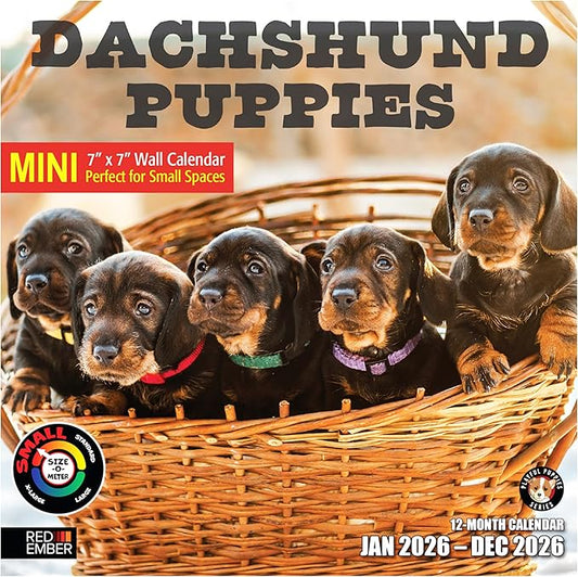 RED EMBER Dachshund Puppies 2026 Mini Wall Calendar 12 Month | 7" x 14" Open | Thick & Sturdy Paper | Holiday Gift | Cute Weiner Puppy Dog Calendar 2026