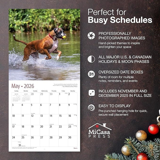 MICASA PRESS Boxers 2026 Wall Calendar 12 Month | 12" x 24" Open | Thick & Sturdy Paper | Holiday Gift | Cute Puppy Dog Calendar 2026