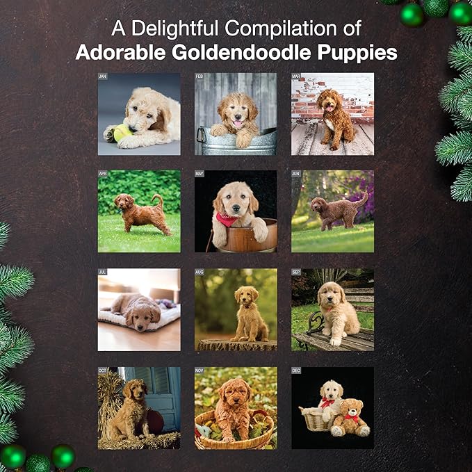 MICASA PRESS Goldendoodle Puppies 2026 Wall Calendar 12 Month | 12" x 24" Open | Thick & Sturdy Paper | Holiday Gift | Cute Puppy Dog Calendar 2026