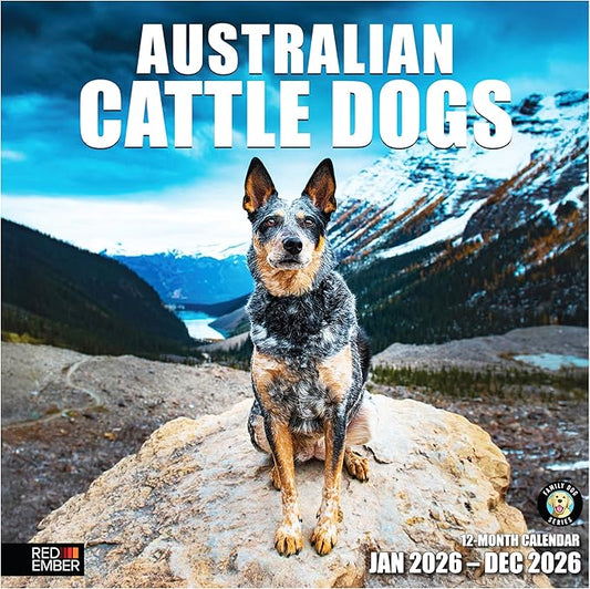 RED EMBER Australian Cattle Dogs 2026 Wall Calendar 12 Month | 12" x 24" Open | Thick & Sturdy Paper | Holiday Gift | Cute Puppy Dog Calendar 2026