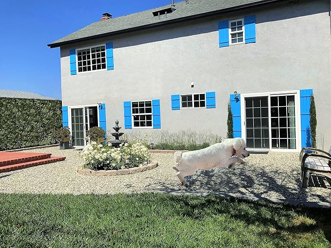 Rainier’s Gifts Reed Diffuser Set (Holiday Eggnog) - Scented Oil Diffuser Sticks - Home Fragrance Aromatherapy Air Freshener 6.5 fl oz