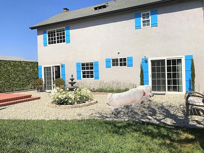 Rainier’s Gifts Reed Diffuser Set (Sea Salt Cardamom & Musk) - Scented Oil Diffuser Sticks - Home Fragrance Aromatherapy Air Freshener 6.5 fl oz