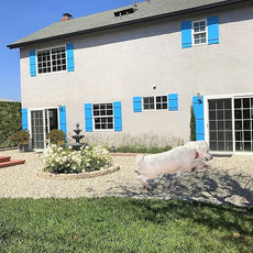 Rainier’s Gifts Reed Diffuser Set (Pineapple & Sage) - Scented Oil Diffuser Sticks - Home Fragrance Aromatherapy Air Freshener 6.5 fl oz