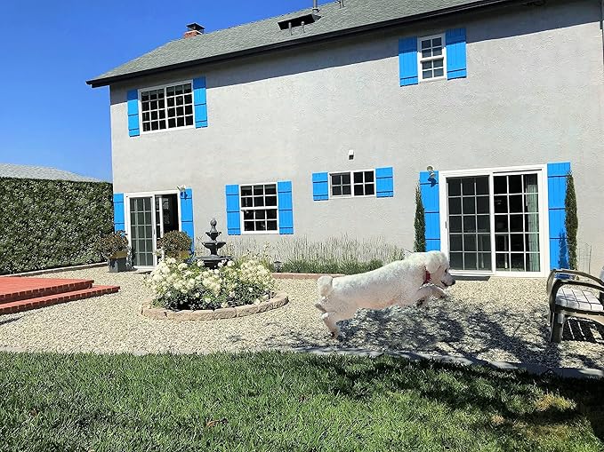 Rainier’s Gifts Reed Diffuser Set (Parisian Wisteria) - Scented Oil Diffuser Sticks - Home Fragrance Aromatherapy Air Freshener 6.5 fl oz